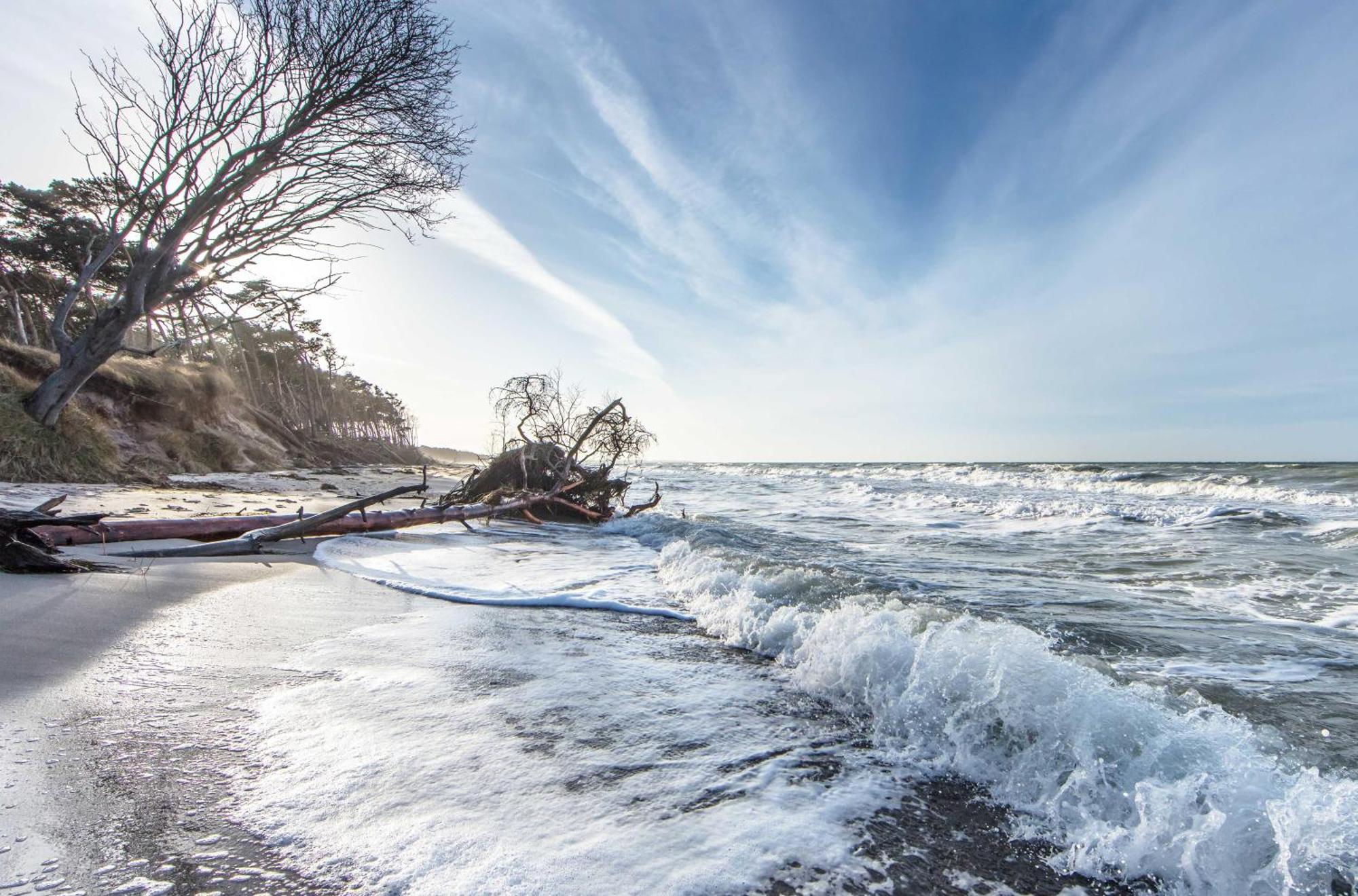 Kranichtanz An Der Seebruecke ซิงสท์ ภายนอก รูปภาพ